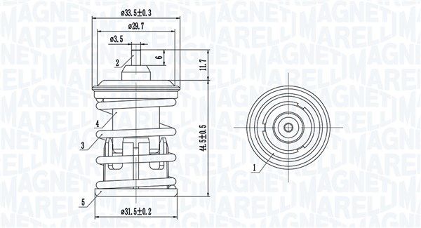 article_image